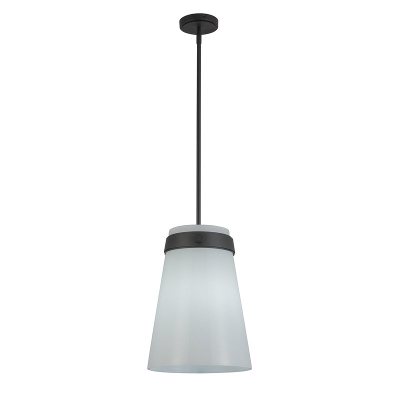 Luminaire suspendu 1 lumière Lucia de 12 po de diamètre Lucai, Noir