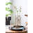 17.7X1.8X13.8 Glass Vial Flower Vase With Bronze Metal Frame
