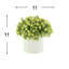 Sedum Arrangement in Fiberstone Pot