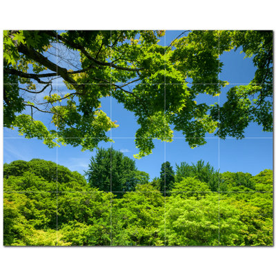 Trees Photo 12'' x 12'' Satin Ceramic Decorative Mural