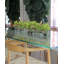 Centre de table orchidée Driftwood Cymbidium-898860794-898860772