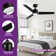 Modern 48" Ceiling Fan with Light and 3 Blades