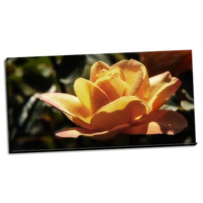 Queen of Flowers I' Photographic Print on Wrapped Canvas -  Winston Porter, 92103222EAA14C6B9B8E25D374C84105