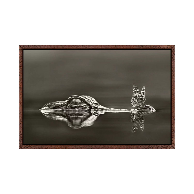 American Alligator With A Butterfly On Its Snout, Everglades National Park, Florida by Tim Fitzharris - Print on Canvas