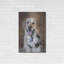 «Playtime» par Lori Deiter-1036925622