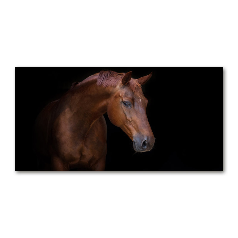Brown Horse - Wrapped Canvas Print, 60cm H x 120cm W