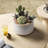 6.5+8 Inch Ceramic Plant Pot with Drainage Hole-193060641