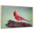 Floating Frame Natural Wood