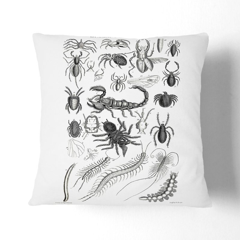 Square Throw Cushion, 40cm H x 40cm W x 15cm D