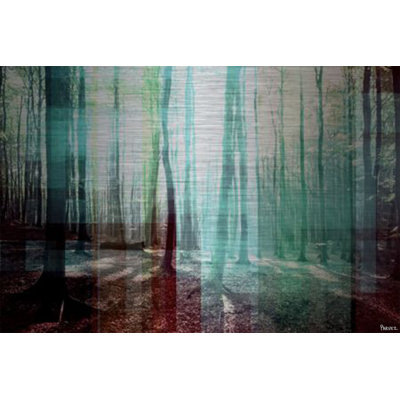 «Green Shadows» par Parvez Taj, reproduction sur métal