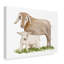 « life on the farm animal element ii », art sur toile-31882958