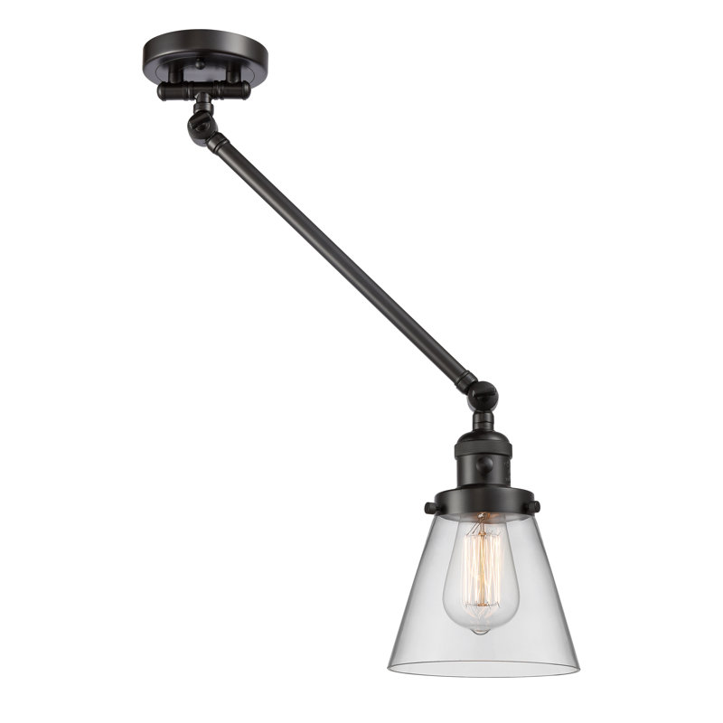 Bras pivotant 1 lumière à intensité variable Pelkey, Ampoule incandescente rétro de 60 watts, Bronze huilé, Transparent