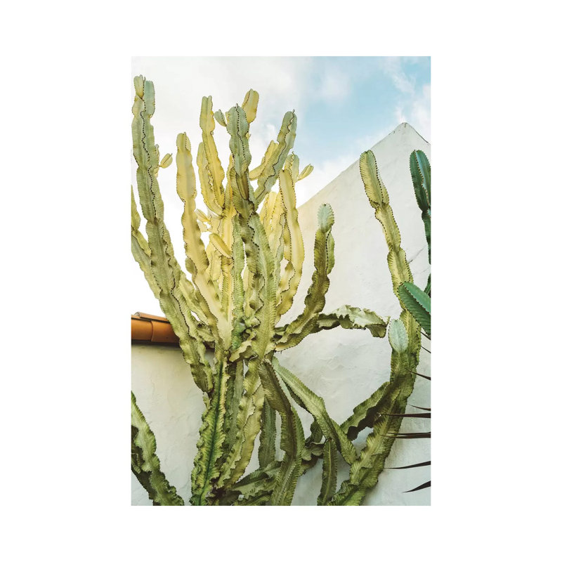 California Cactus by Bethany Young - Print on Canvas, Wrapped Canvas, 101.6cm H x 66.04cm W x 3.81cm D