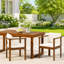 Ensemble de 2 chaises d'extérieur avec accoudoirs courbés en bois d'acacia pour une élégante terrasse