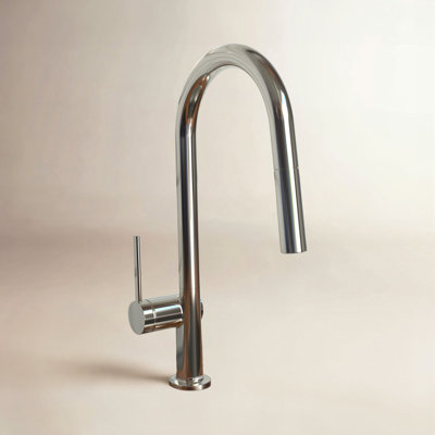Hansgrohe Talis N A-Style Pull-Down Faucet