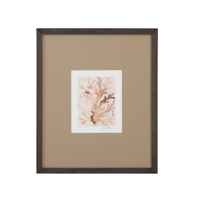Parchment Coral III Framed Print