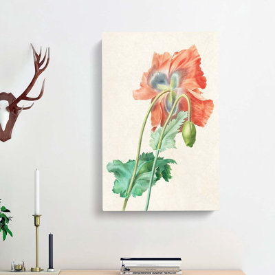 Poppy Flower by Pierre-Joseph Redoute - Wrapped Canvas