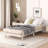 Modern Design Floating Platform Bed Frame-1679460095