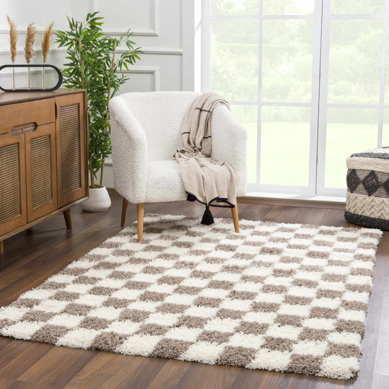 Atiran Checkered Shag Brown Area Rug, Rectangle 4' x 6'