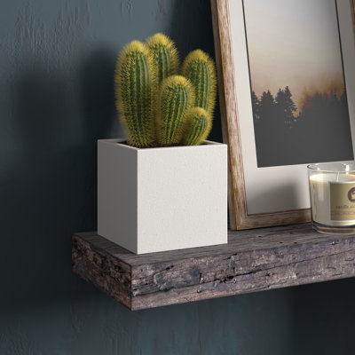Barlo Planter Box