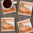 Desertscape 4 Pack Tumbled Tile Stone Coasters