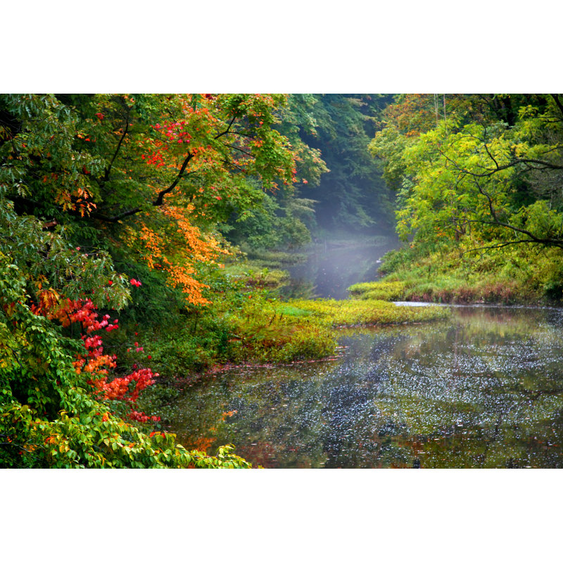 Misty Autumn Landscape - Wrapped Canvas Print, 30cm H x 46cm W x 3.8cm D