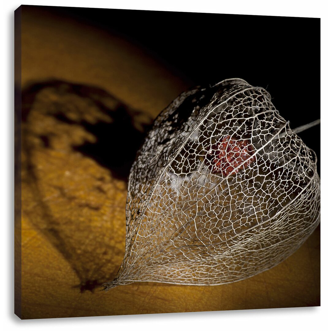 Leinwandbild Schatten einer Physalis