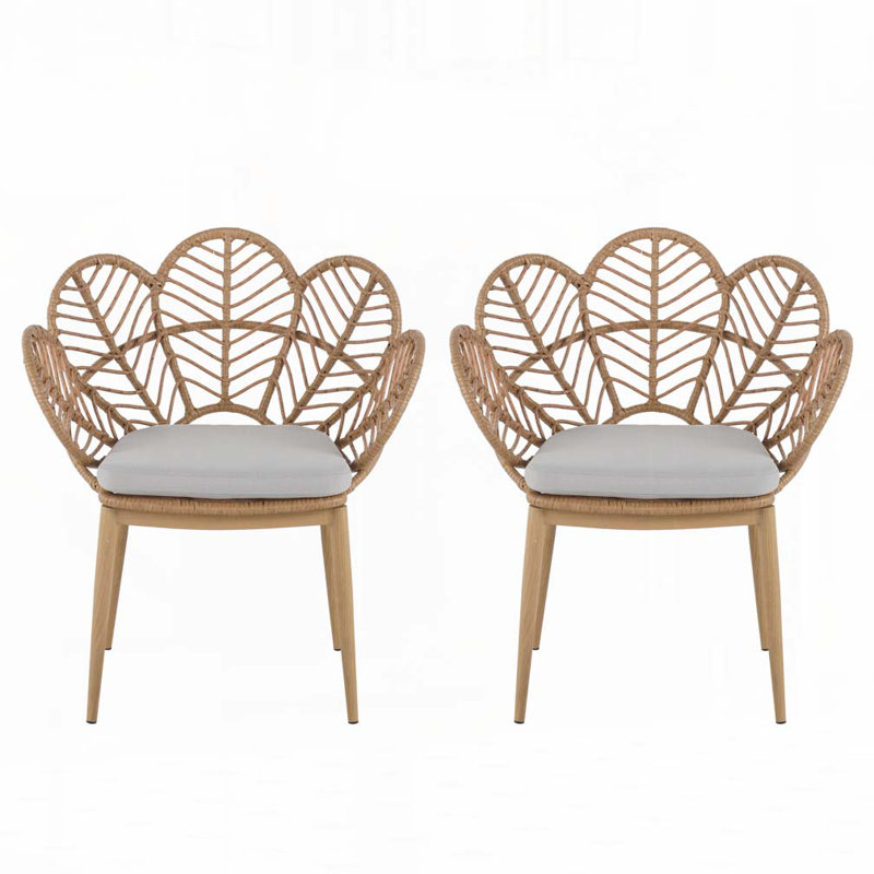 Chaise d'extérieur en forme de paon en osier de style papasan