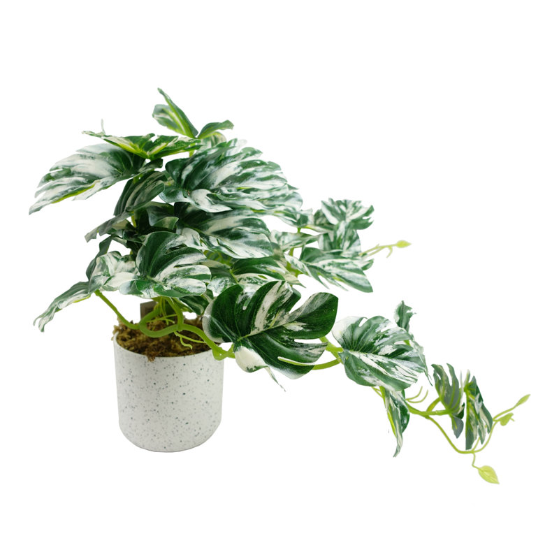 Anjeli 30cm Faux Foliage Plant in Pot