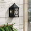 Ripley Outdoor Wall Lantern-19994848-89012559
