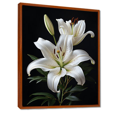 Black White Lily Exquisite II - Lilies Canvas Prints