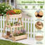 Plant Stand