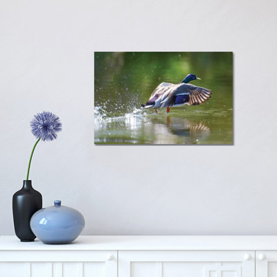 Lift off 1 Piece Wrapped Canvas Wall Art