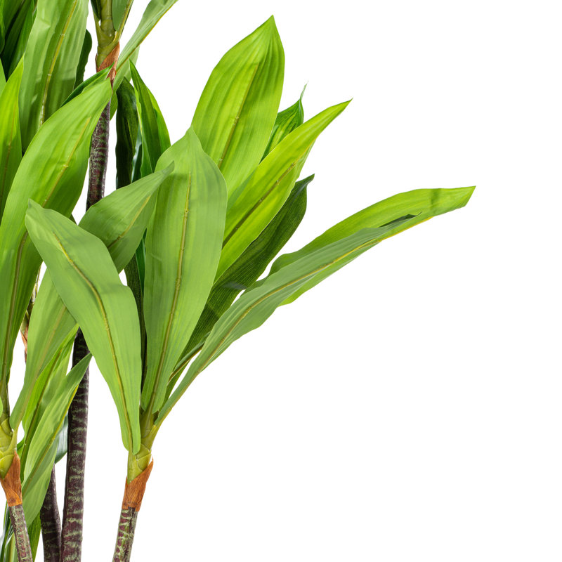Elegant Silk Touch 63" Dracaena Outdoor Potted Floor Plant