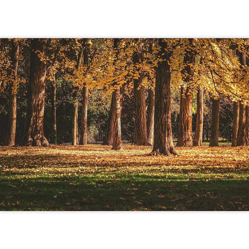 Forest Nature Landscape Peel & Stick Clear Border, 100" L x 144" W
