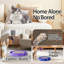 Grattoir interactif pour chat avec 2 balles auto-rotatives et 1 jouet interactif chaton, patin à griffes durable pour jouer à l'intérieur, sisal gris écologique, jouet pour chat 2-en-1-242081273