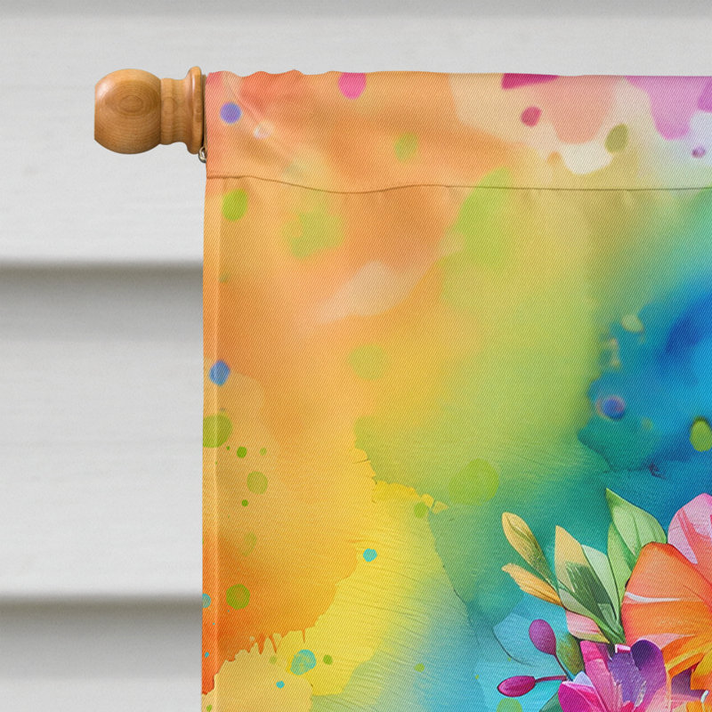 Drapeau de la maison Hippie Dawg, Boxer brun