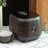 Aroma Professional 360° Induction 6-Cup (Uncooked) / 12-Cup (Cooked) Digital Rice Cooker & Multicooker, Premium PFOA Free Nonstick Inner Pot Included