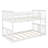 Bunk Bed Featuring A Sturdy Ladder Design-2044550204-2044550195