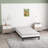 Alson 7'' Bed Frame-337489528