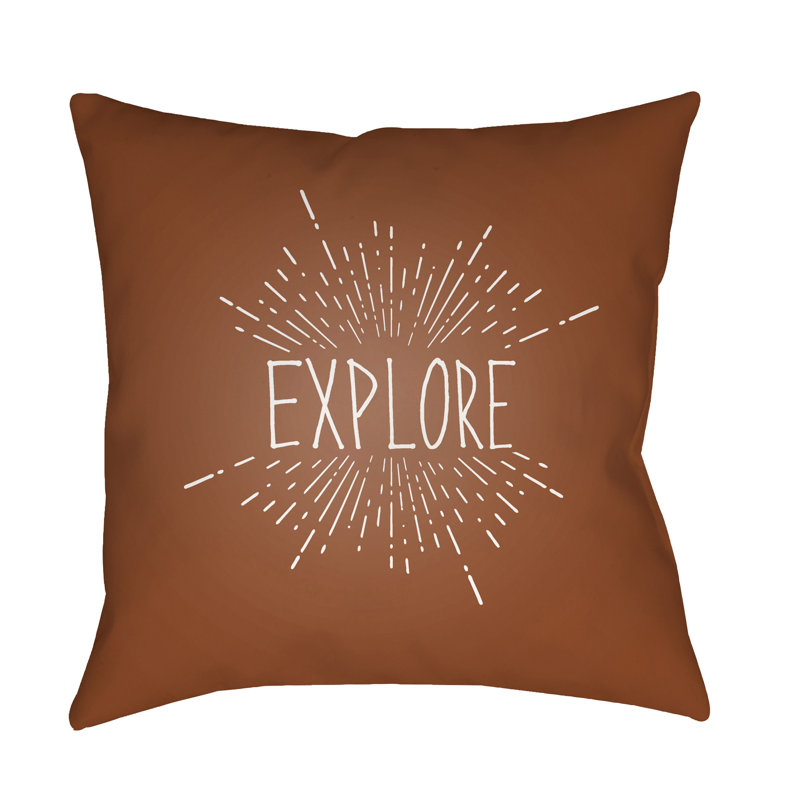  Indoor/Outdoor Throw Pillow, 18" H x 18" W x 4" D, Brown