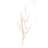Beige Twig Branch (Set of 6)