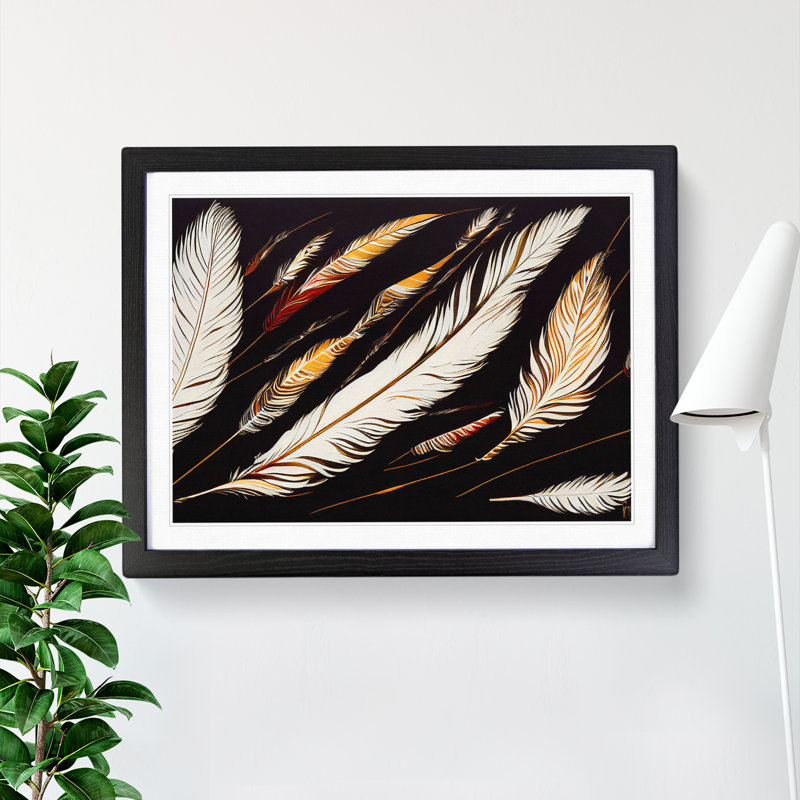 Bird Feathers - Single Picture Frame Print, Black Framed, 25cm H x 34cm W x 2cm D