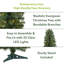 24' H Lighted Artificial Pine Christmas Tree