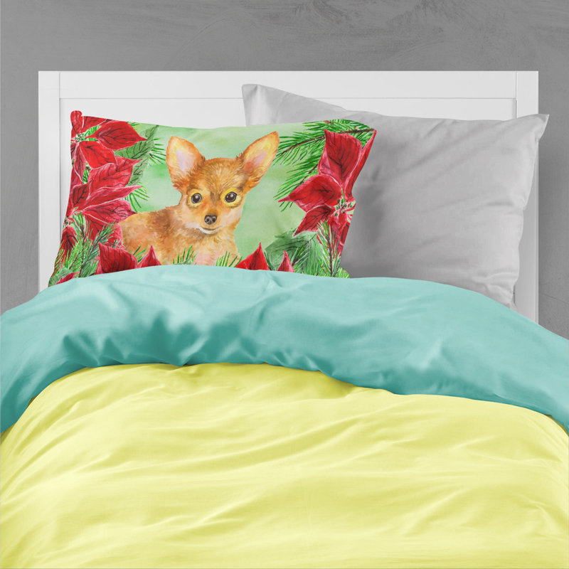 Microfiber, Toy Terrier