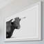 « corned animaux »-cadre photo, impression sur papier-20841194-19578698
