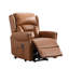 Lelani Ansley Genuine Leather Lift Assist Recliner-409197290