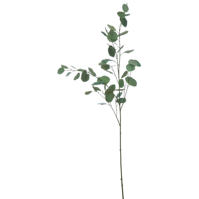 Fausse branche d'eucalyptus