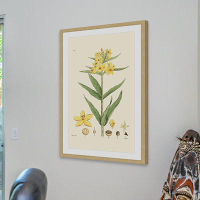 "Antique Floral VIII", reproduction encadrée