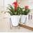 Clent Pot Planter-509738430-453852780